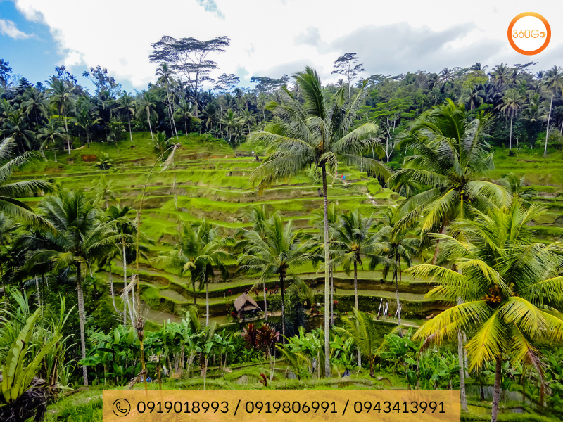 Tegalalang - Viên ngọc xanh giữa lòng Bali - Du lịch 360Go